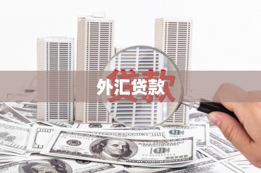 迁安外汇贷款
