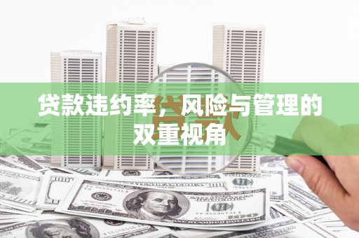 迁安贷款违约率，风险与管理的双重视角
