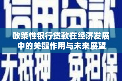 迁安政策性银行贷款在经济发展中的关键作用与未来展望
