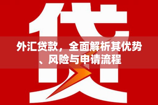 迁安外汇贷款，全面解析其优势、风险与申请流程