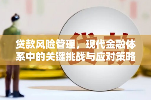 迁安贷款风险管理，现代金融体系中的关键挑战与应对策略
