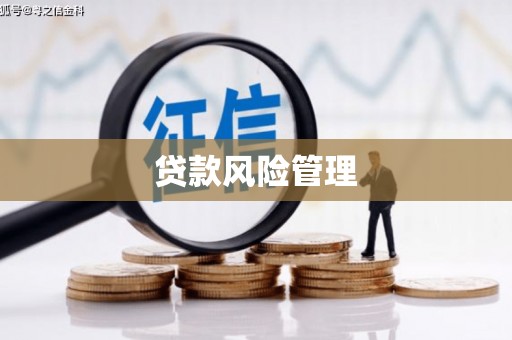 迁安贷款风险管理