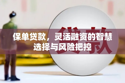 迁安保单贷款，灵活融资的智慧选择与风险把控