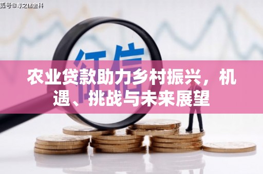 迁安农业贷款助力乡村振兴，机遇、挑战与未来展望