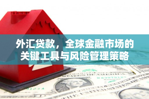 迁安外汇贷款，全球金融市场的关键工具与风险管理策略