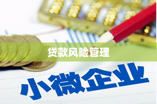 迁安贷款风险管理