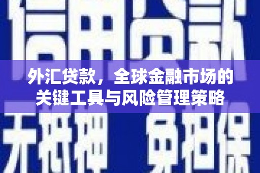 迁安外汇贷款，全球金融市场的关键工具与风险管理策略