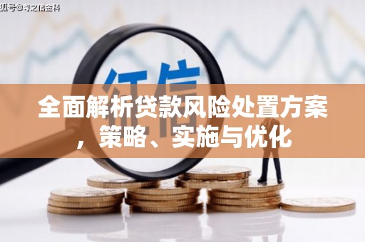 迁安全面解析贷款风险处置方案，策略、实施与优化