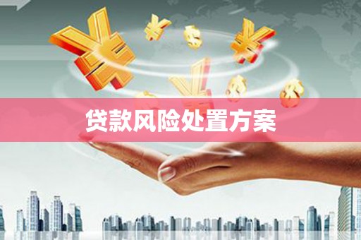 迁安贷款风险处置方案