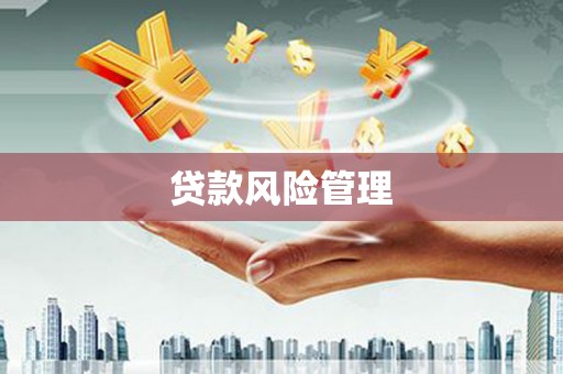 迁安贷款风险管理