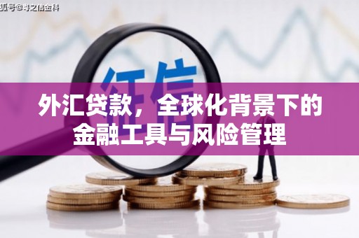 迁安外汇贷款，全球化背景下的金融工具与风险管理