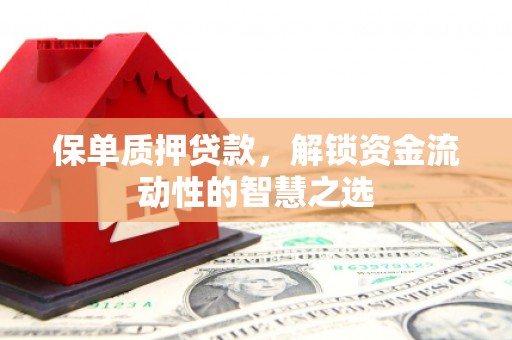 迁安保单质押贷款，解锁资金流动性的智慧之选